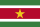 Bandera SR