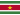 Bandera SR