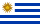 Bandera UY